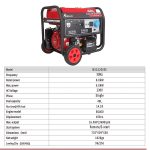 موتور برق بلک اسمیت مدل BLACKSMITH BSG12000E